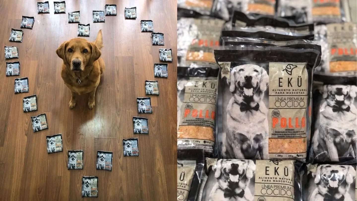 Perro junto a alimentos naturales para mascotas